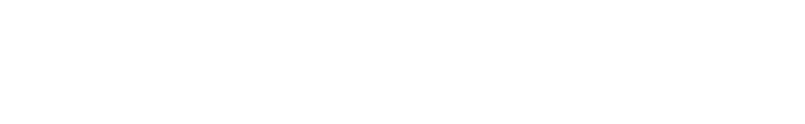 PalmerTec
